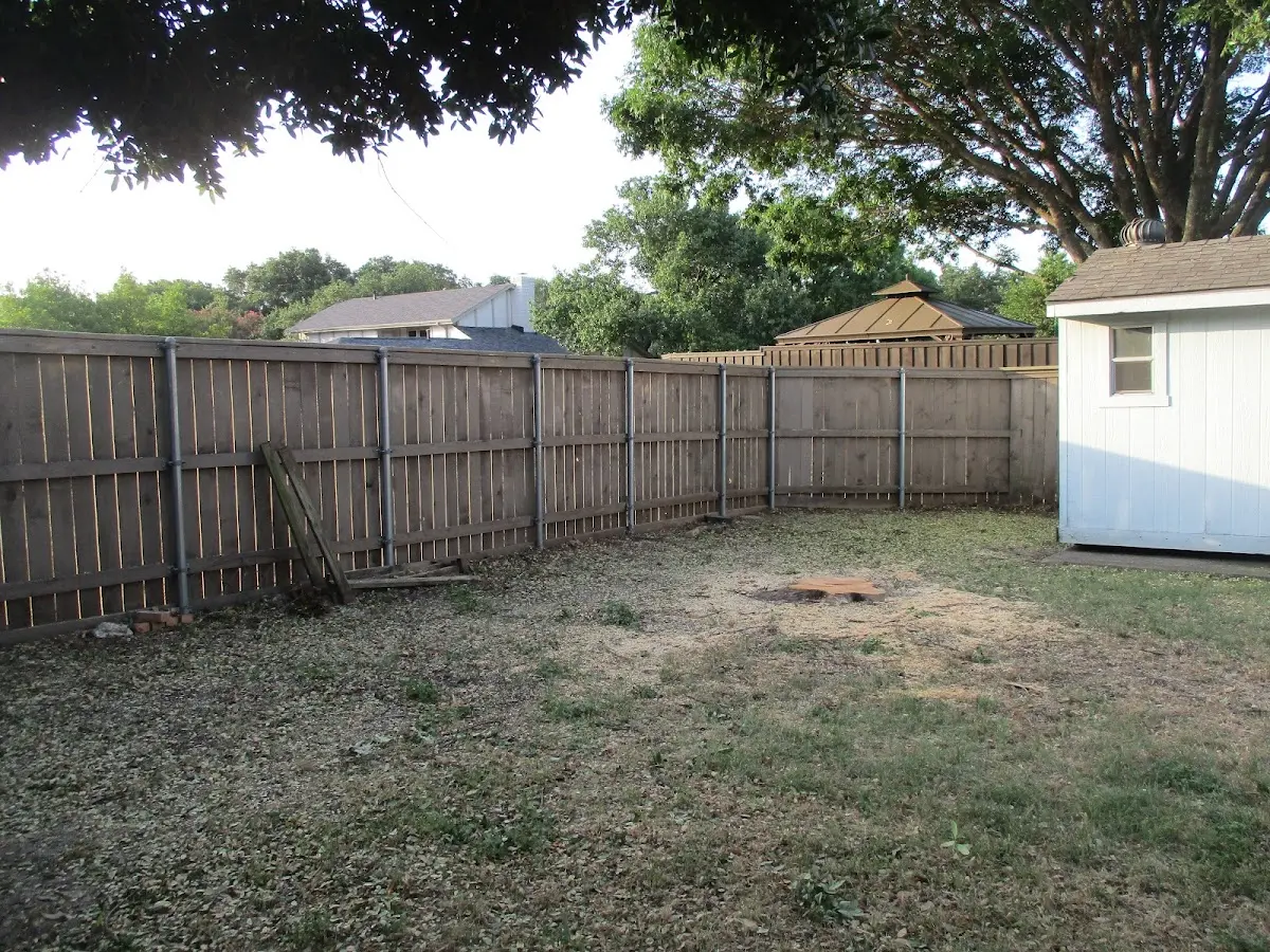 Cleared yard after professional tree removal in Everglades City
